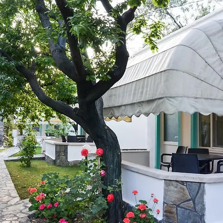 Motel Ergul 3*