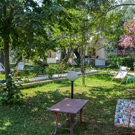 Ergul 3*